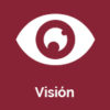 Visión-1-100x100